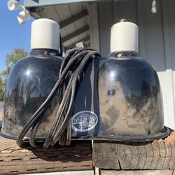 Zoo Med Reptile Light