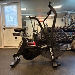 Rogue Echo Bike