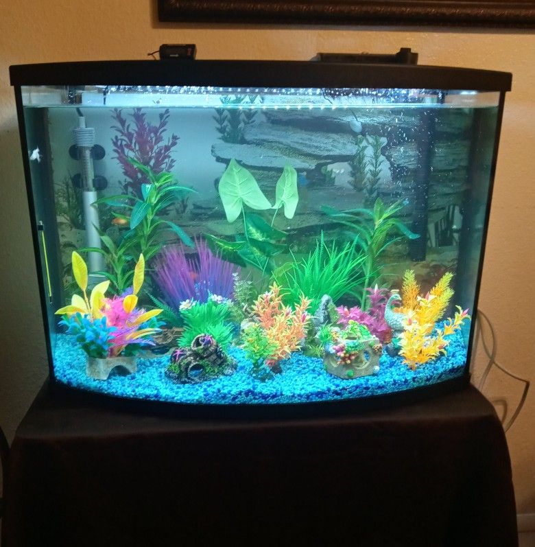 TopFin Wonder 36 Gal Bowfront Aquarium