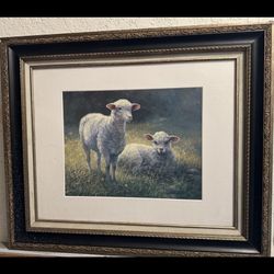 Sheep Portrait 