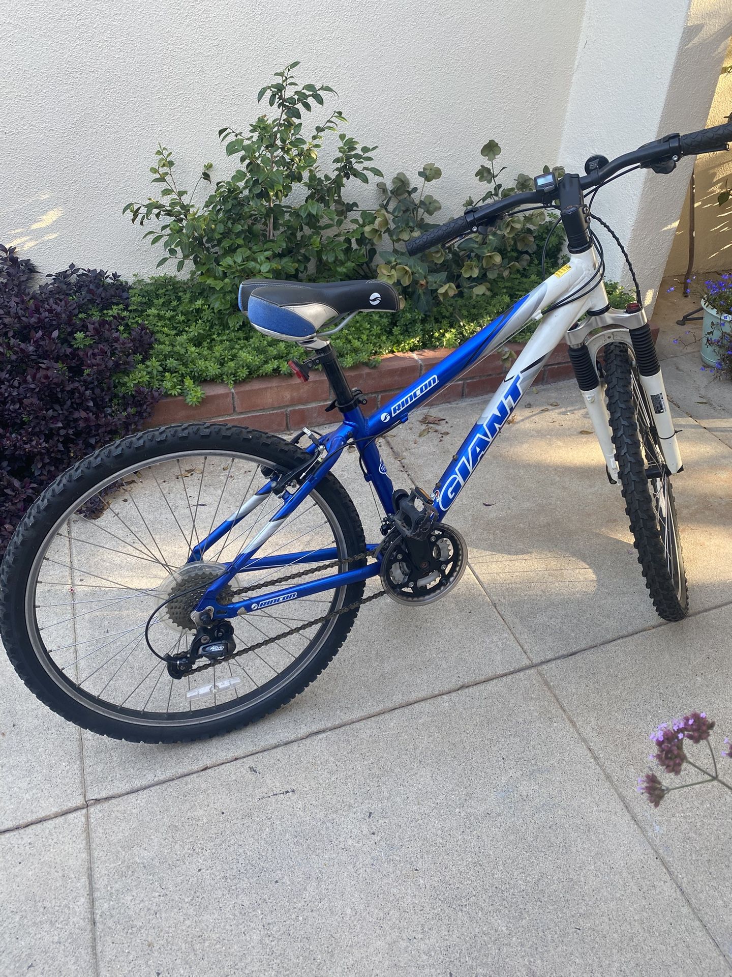 Giant rincon mountain Bike