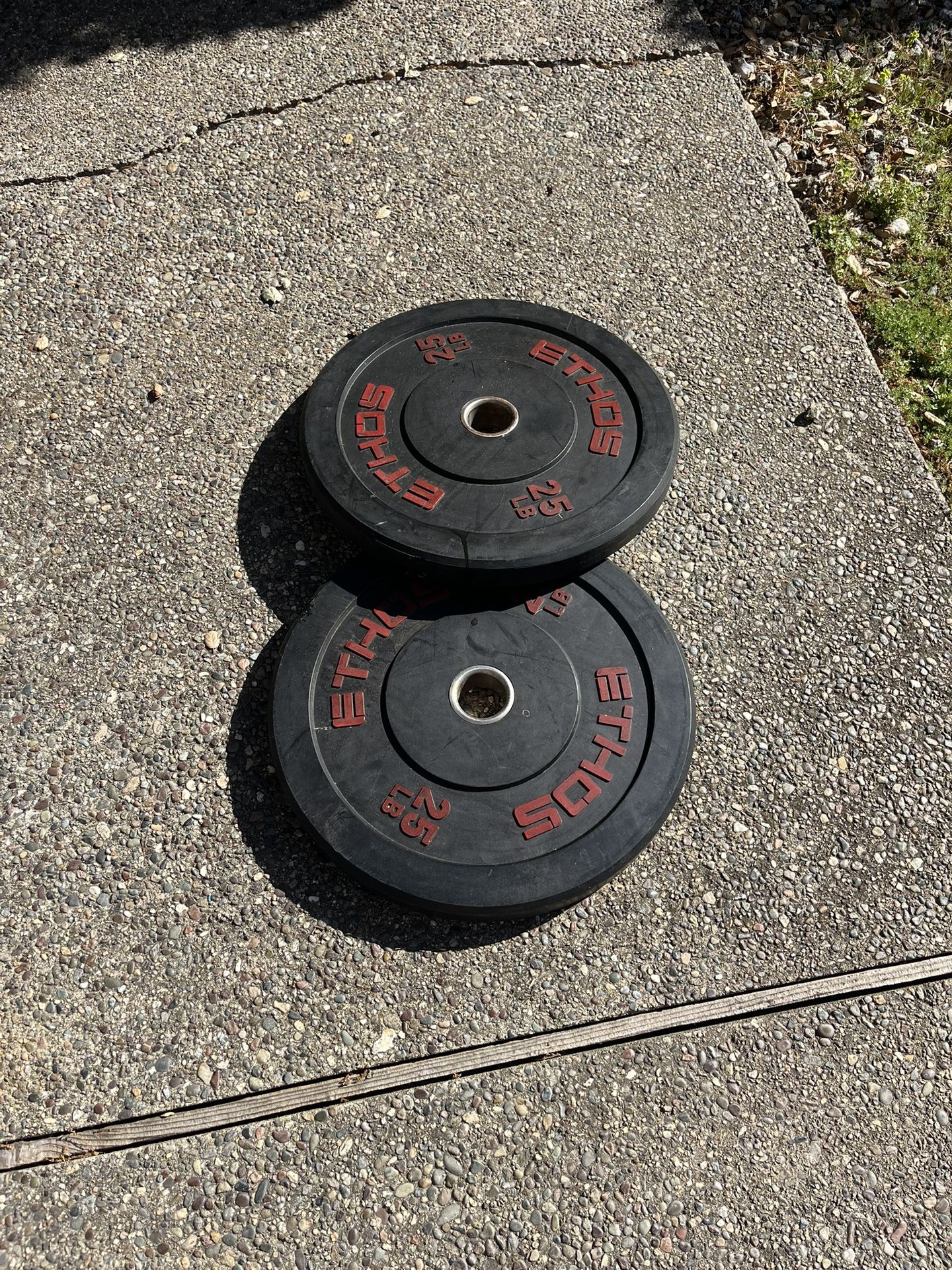25 lb ETHOS Bumper Plates (Pair) - Great Condition!