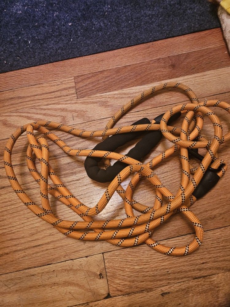 Training Leash
