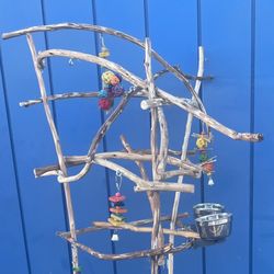 Parrot Perch Tree - Custom Made… Breeder Direct Low Price … AAA + Quality … Yess We Can Deliver ! 
