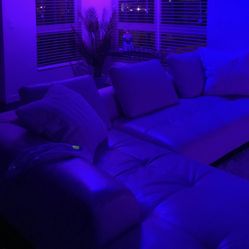 White Leather Sectional Sofa
