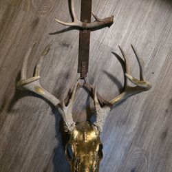 Deer Wall Art