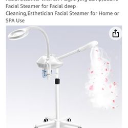 New Facial Steamers