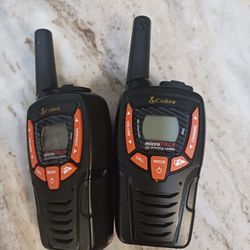 Walkie Talkie And Mini Flashlight 