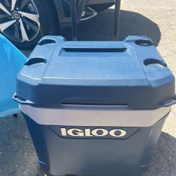 Igloo Cooler 