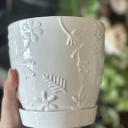 Ceramic Planter Pot