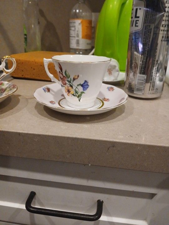 Colclough Bone China Cup Saucer 