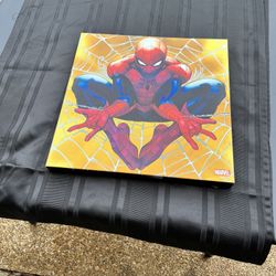 Spider Man Picture 