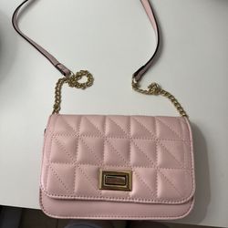 Pink Aldo Bag