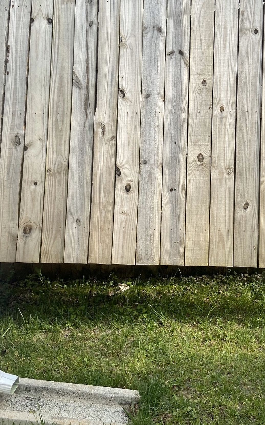 Fence Panel Section Wood With 4x4