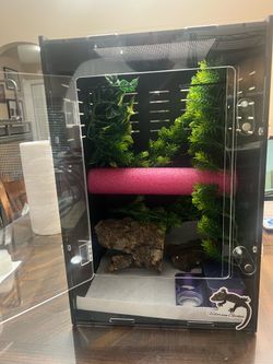 18 x 18 x 24 reptile enclosure