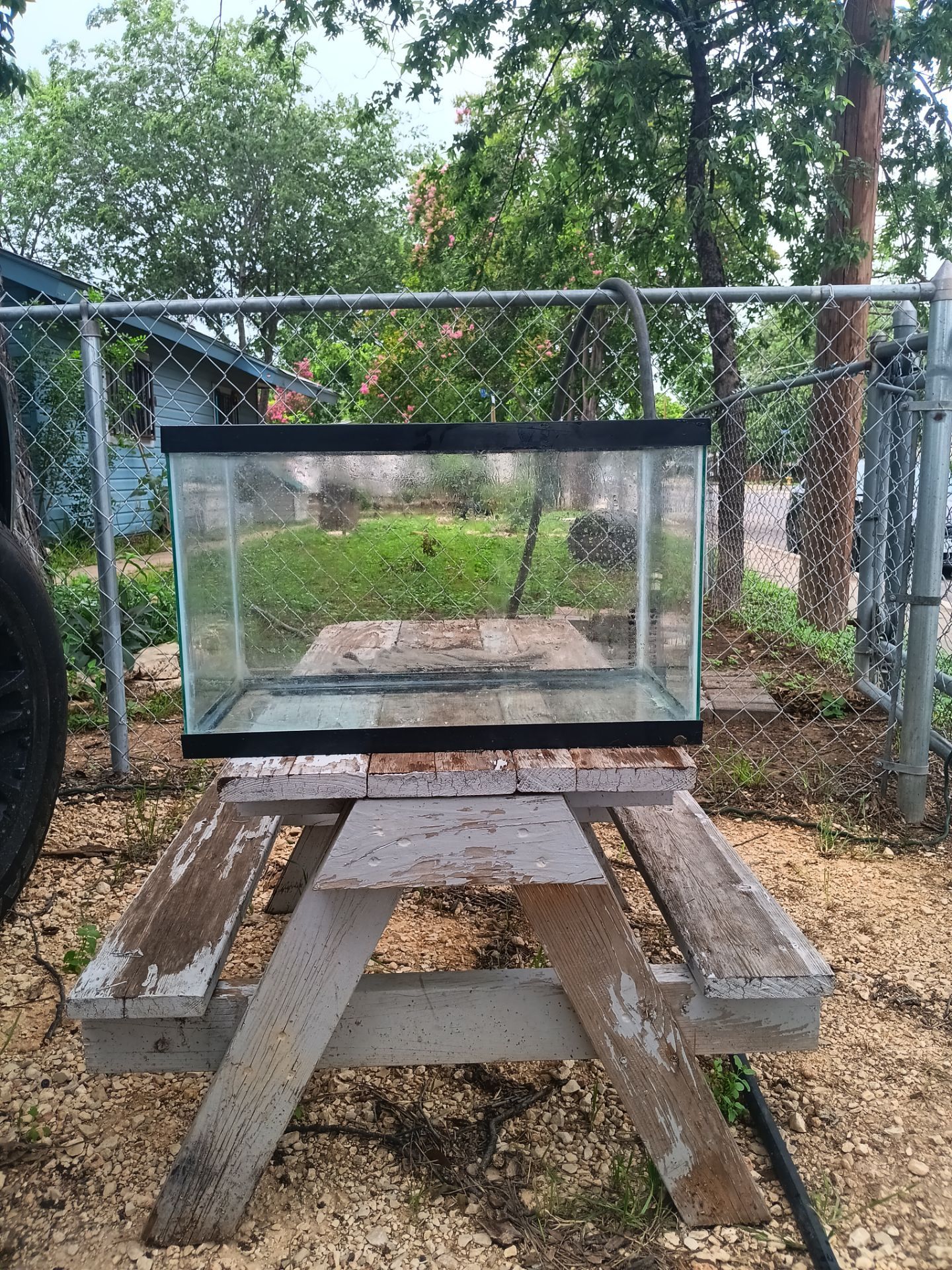 Small fish tank
