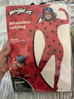 Lady Bug Costume 