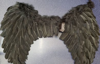 Halloween Costume wings - real feathers