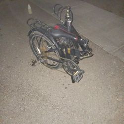Folding Bike