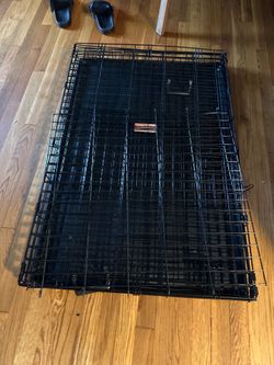 Large dog crate kennel