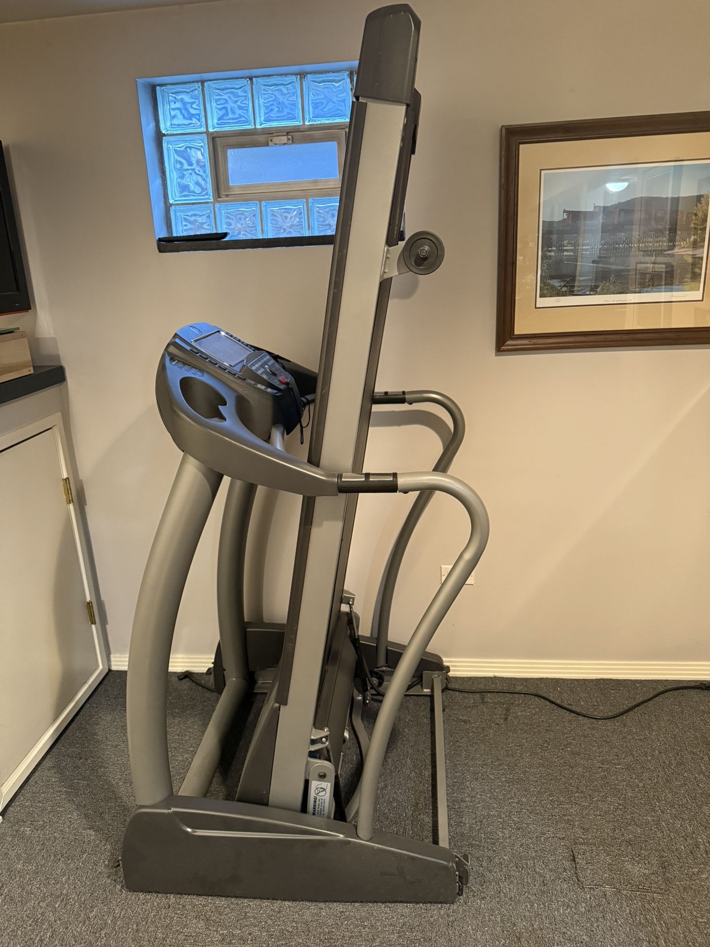 Horizon 5.3T Folding Treadmill