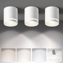 Ceiling Light Fixtures - 3Pack