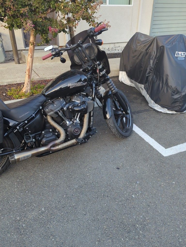 2018 Stray Bob Fx BB