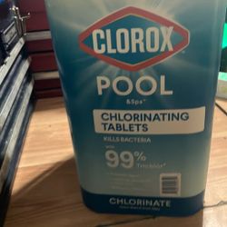 Clorox Chlorine Tablets 
