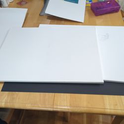 Canvas 17.5"x23.5" 2 pc