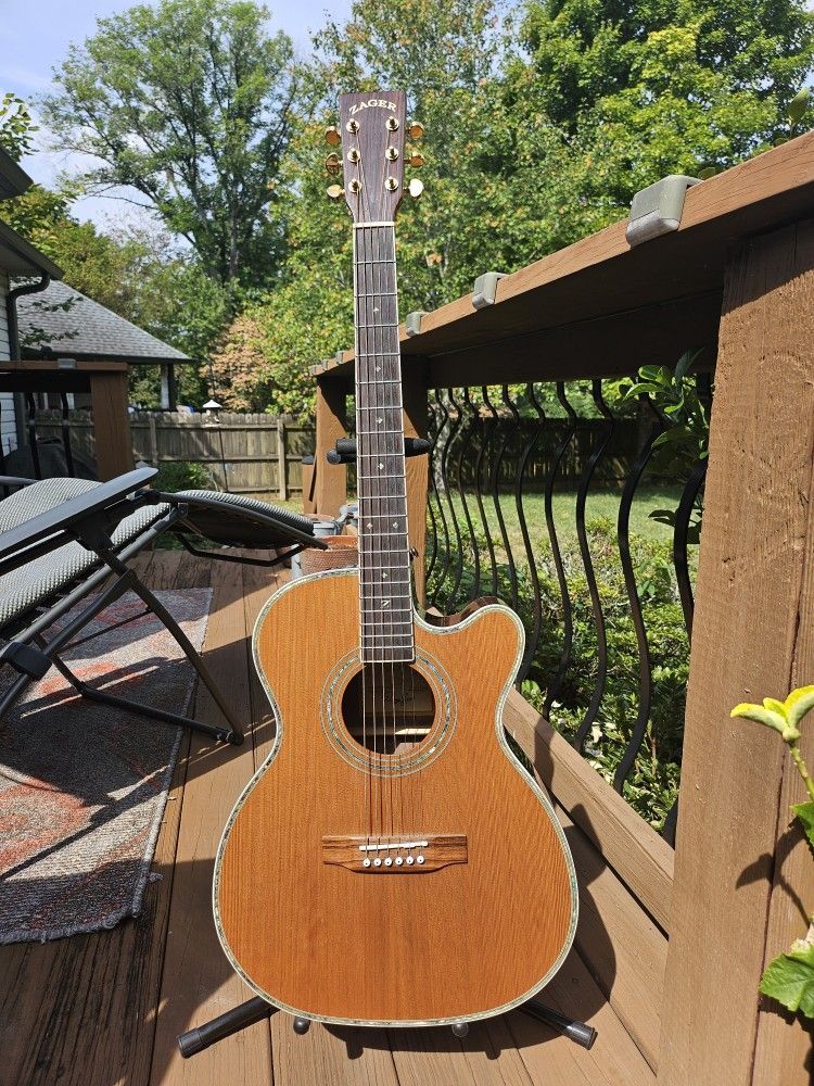 ZAGER Easy Play Acoustic Electric Guitar