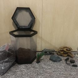Gecko 🦎 Enclosure With Accessories 
