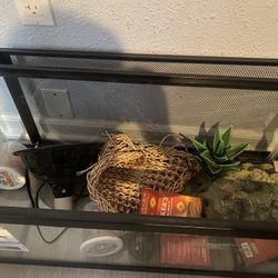 Bearded Dragon Enclosure and Items 