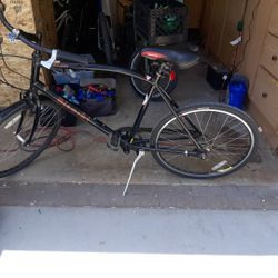 Bianchi Milano Cafe Racer Cruiser 8 Speed 