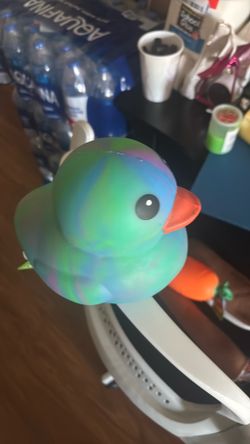 Squeeezy Duck