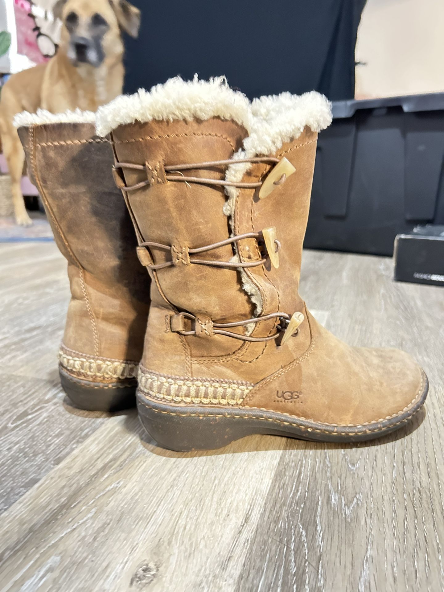 UGG Fur Winter Boots