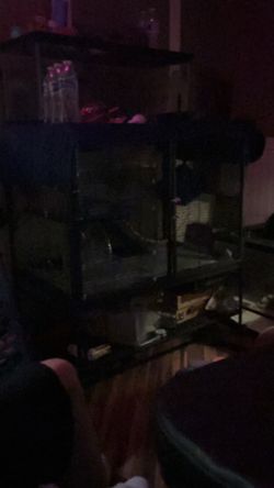 Hamster cage
