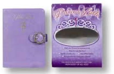 Purple Girls / Princess Bible ( new )
