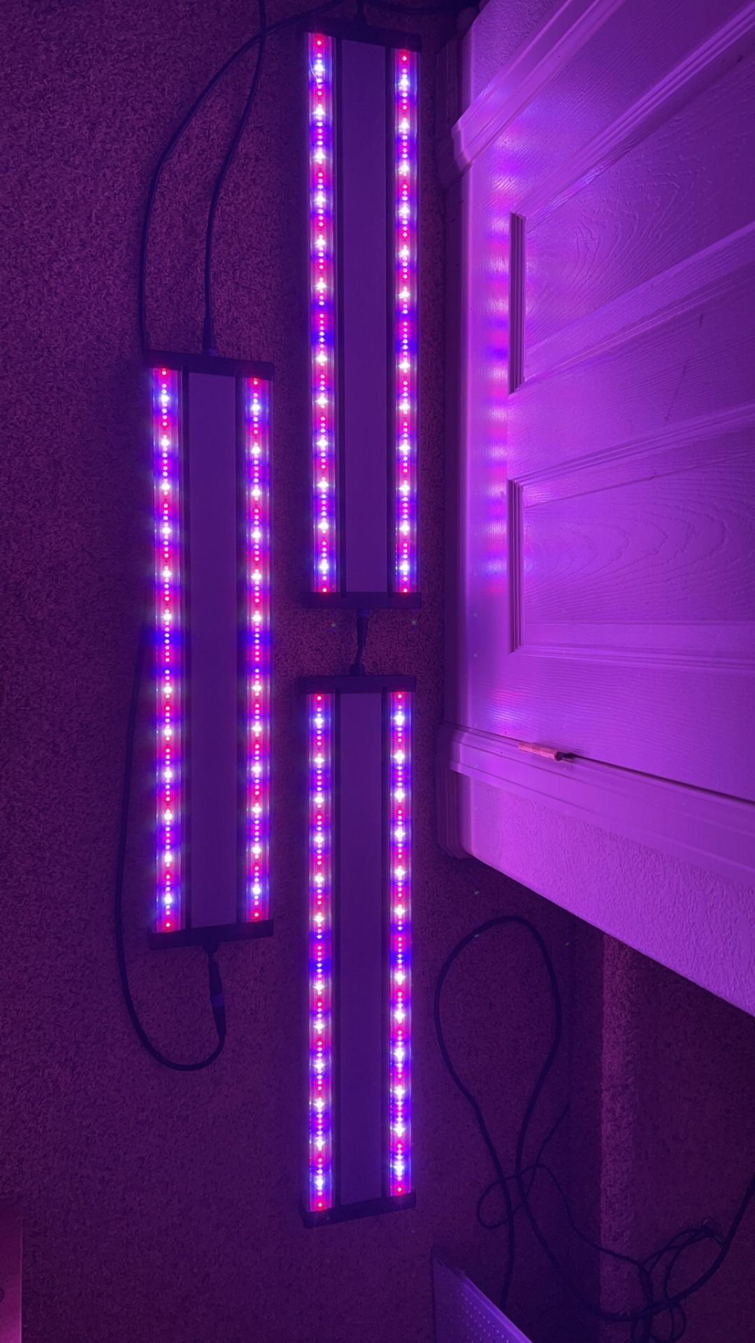 ETi 3 Indoor Grow Lights, 120/250 V, LED Lamp