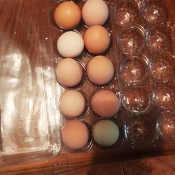 12  Local fresh Chiken eggs 