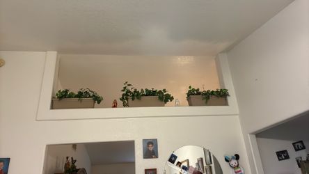 Flower pot