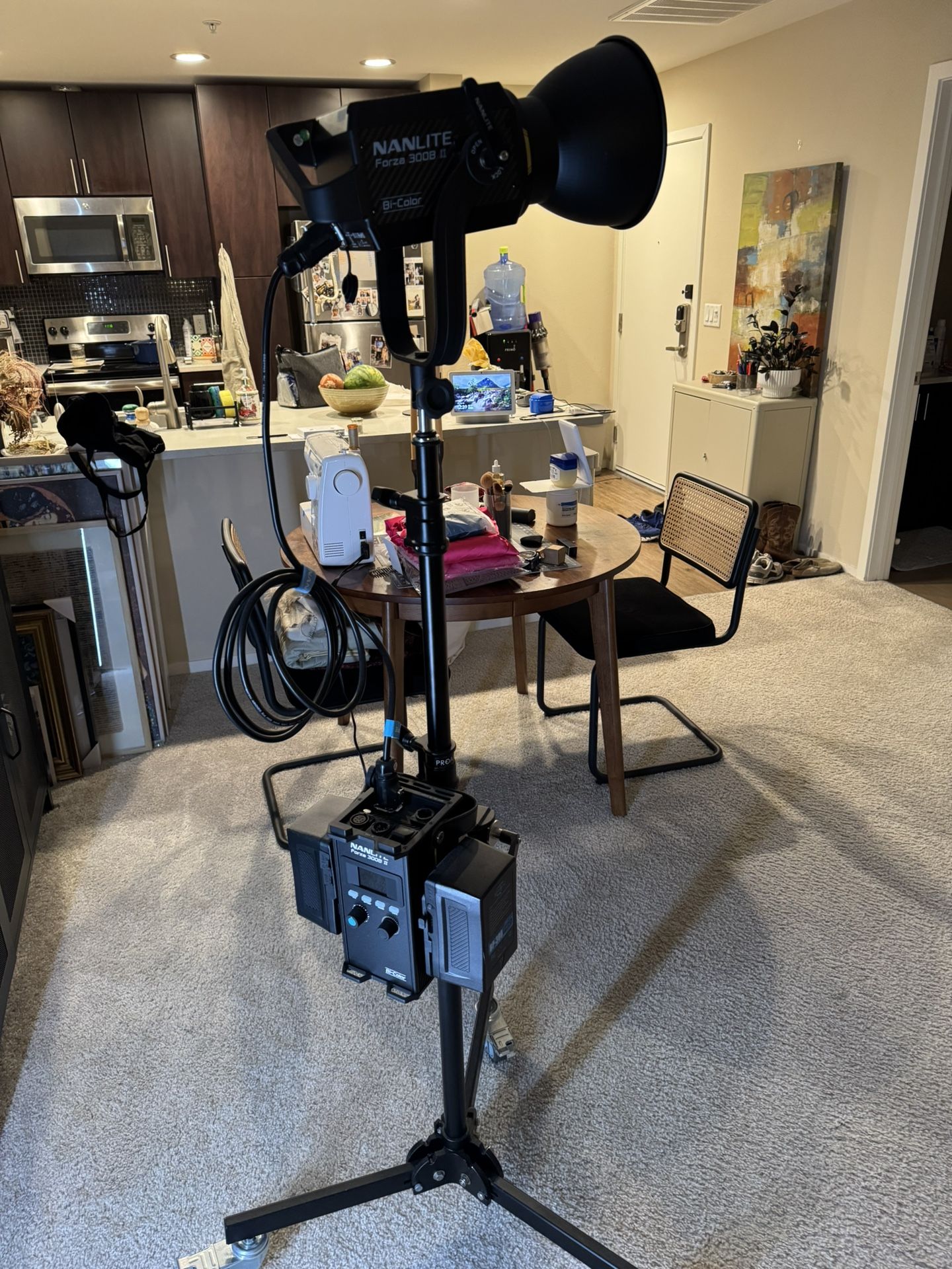 Nanlite Forza 300B II and other accesories