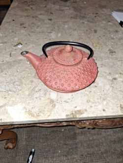 Cast Iron Japanese Tea Pot
