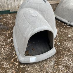 Dog House