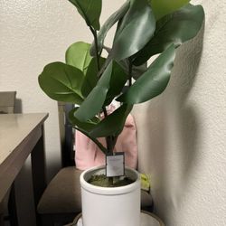 MOVE OUT SALE!!!!!! NEED GONE ASAP 