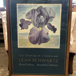 Iris Floating In A Landscape Portal Gallery Sausalito California 