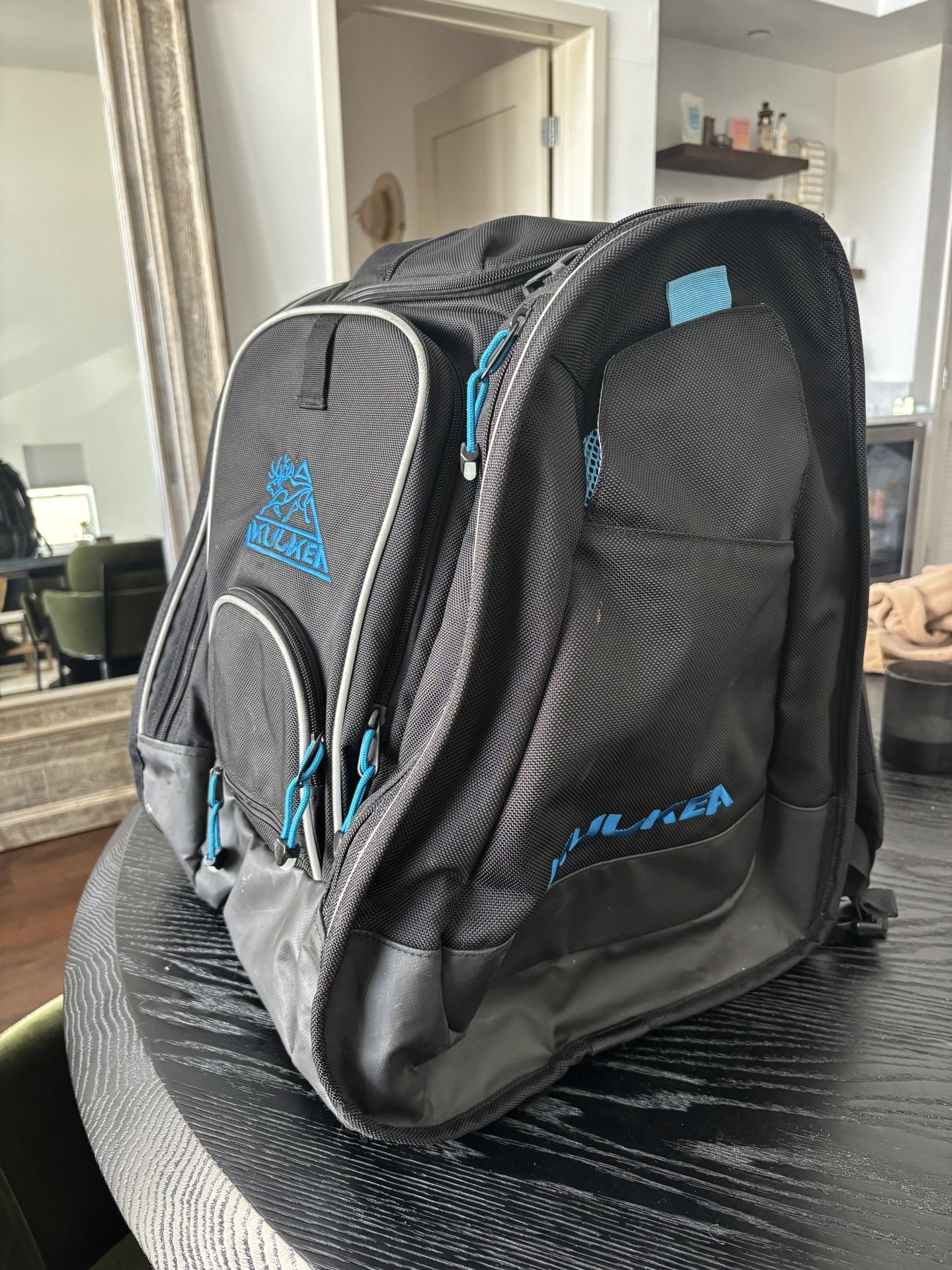 Snowboard/Ski Boot Bag