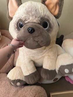 Large French bulldog