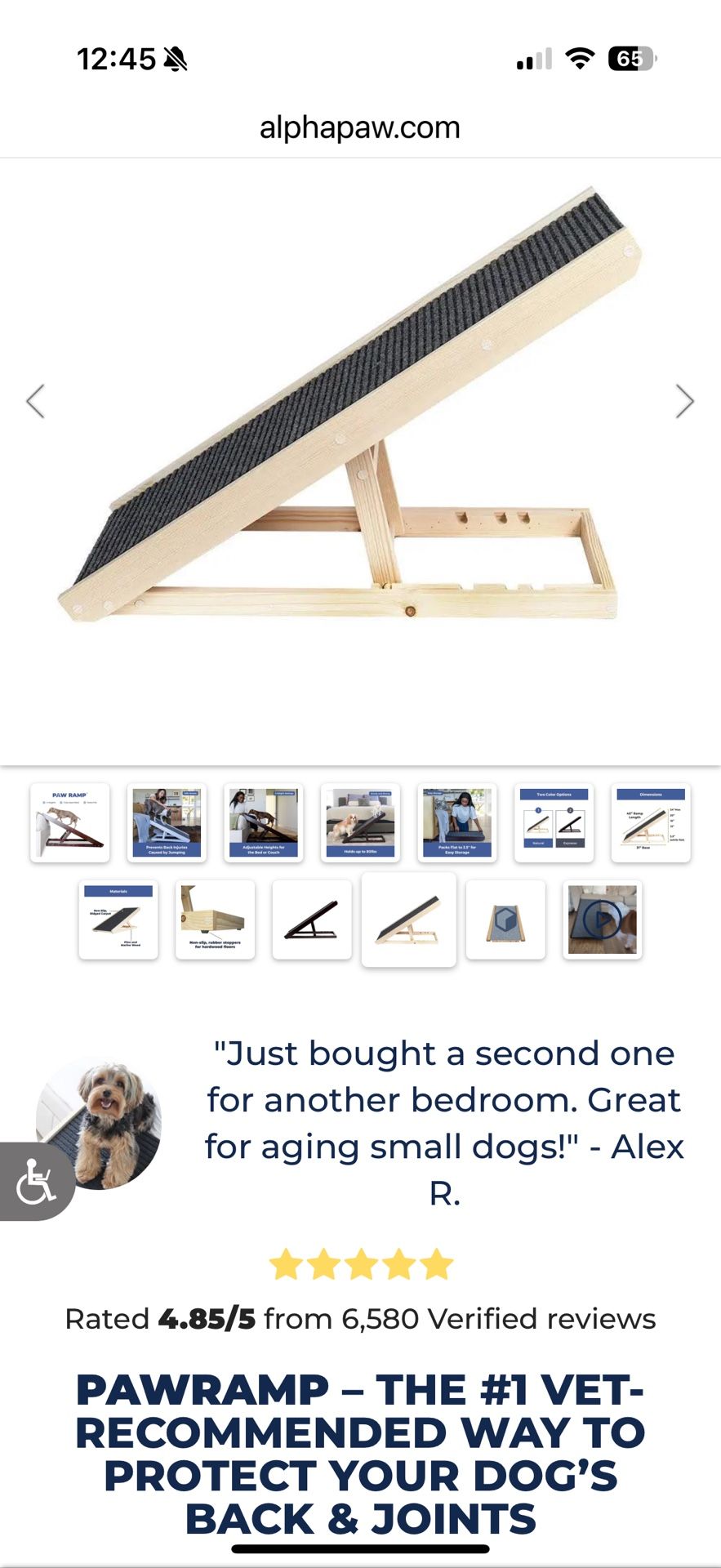 Paw Ramp For Dog