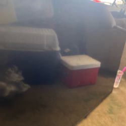 55 Inch Roku Tv