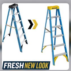 Werner 6ft Ladder 